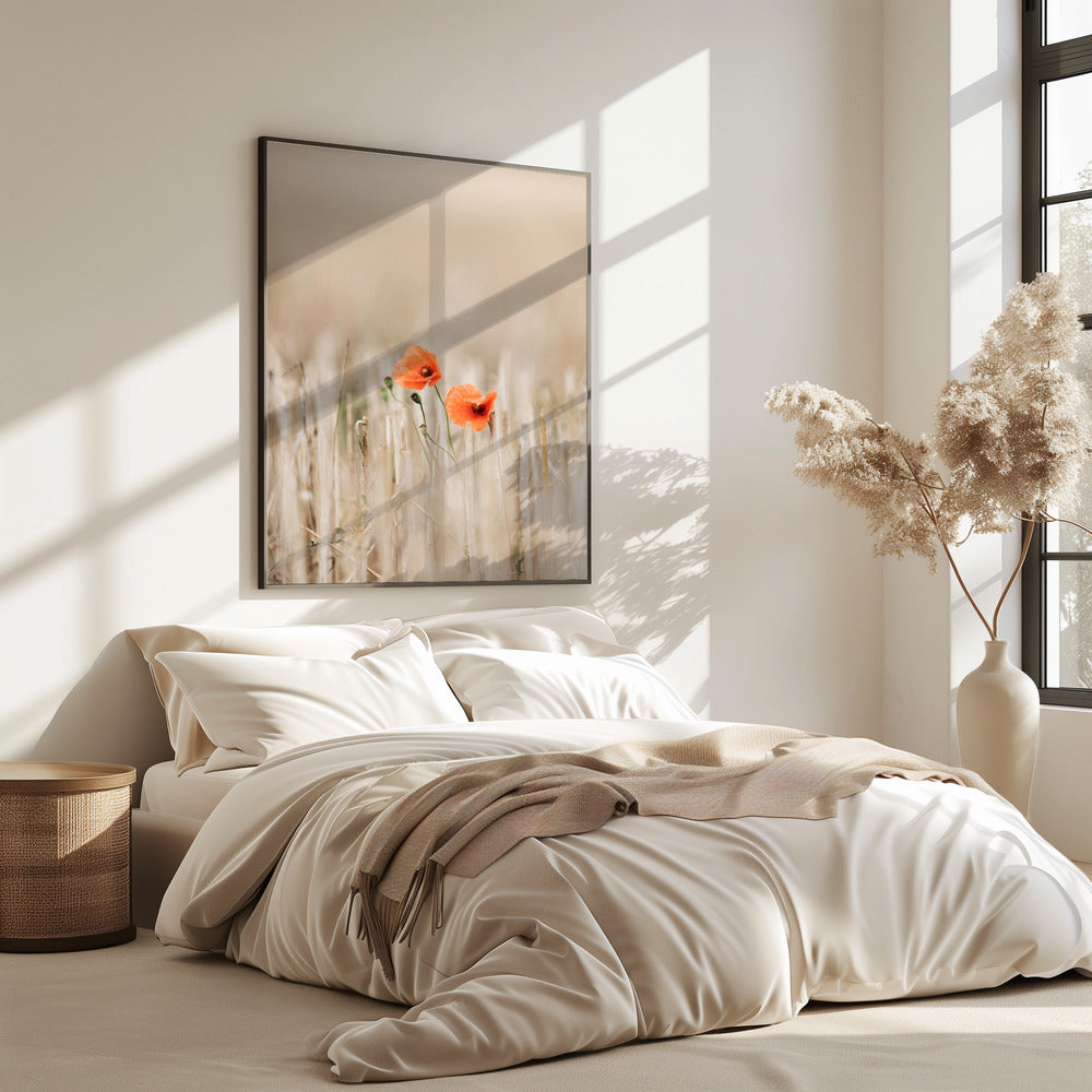 Summer Poppies | Poster