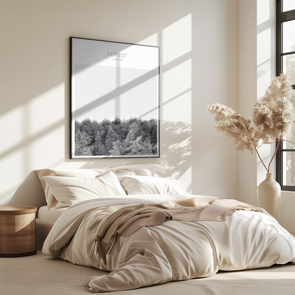 Frosted Tranquility | Poster
