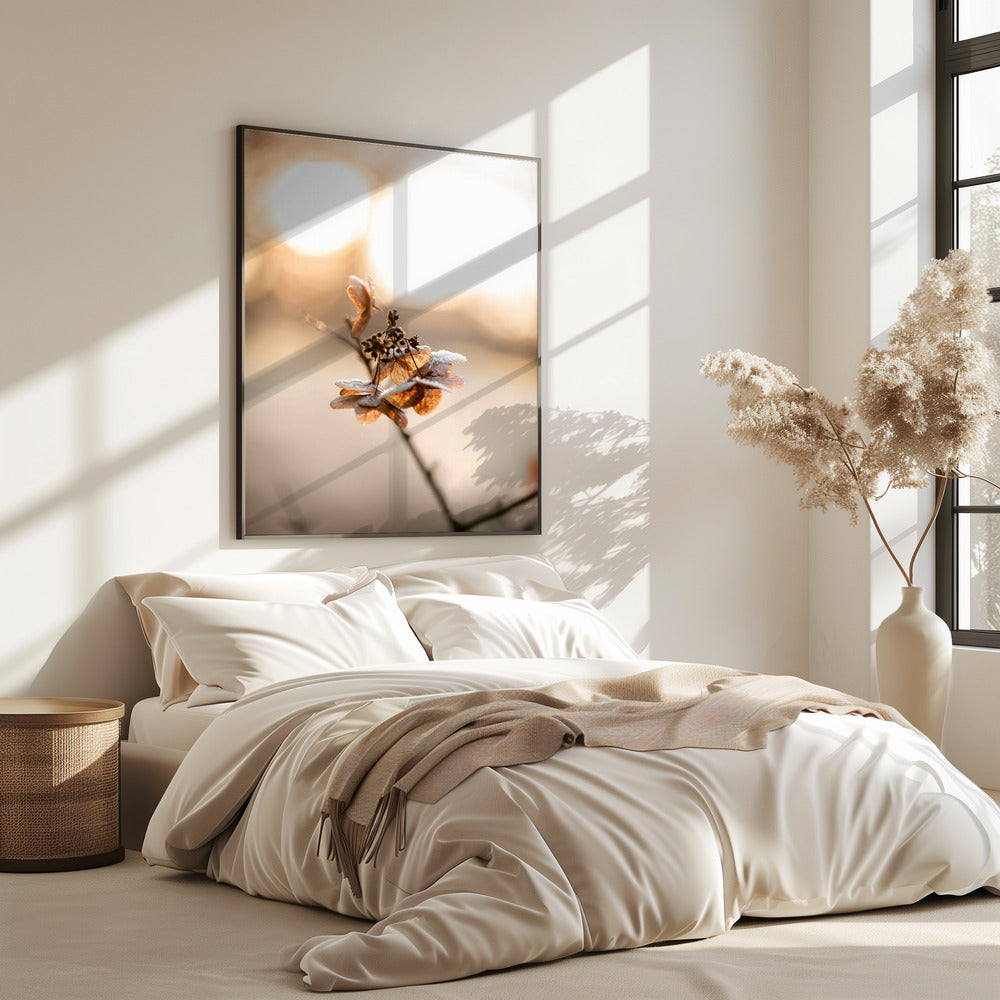 Hydrangea 4 | Poster