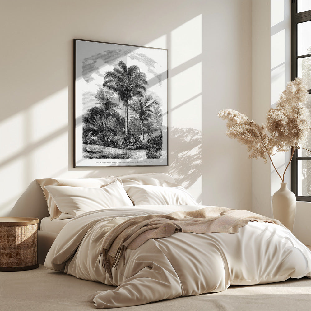 Vintage Palm Tree Drawing Vi | Poster