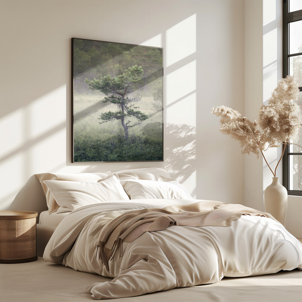 Dsf1453 | Poster