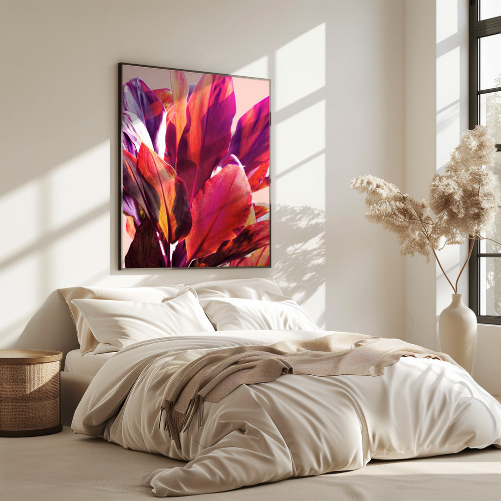 Fuchsienblätter I | Poster