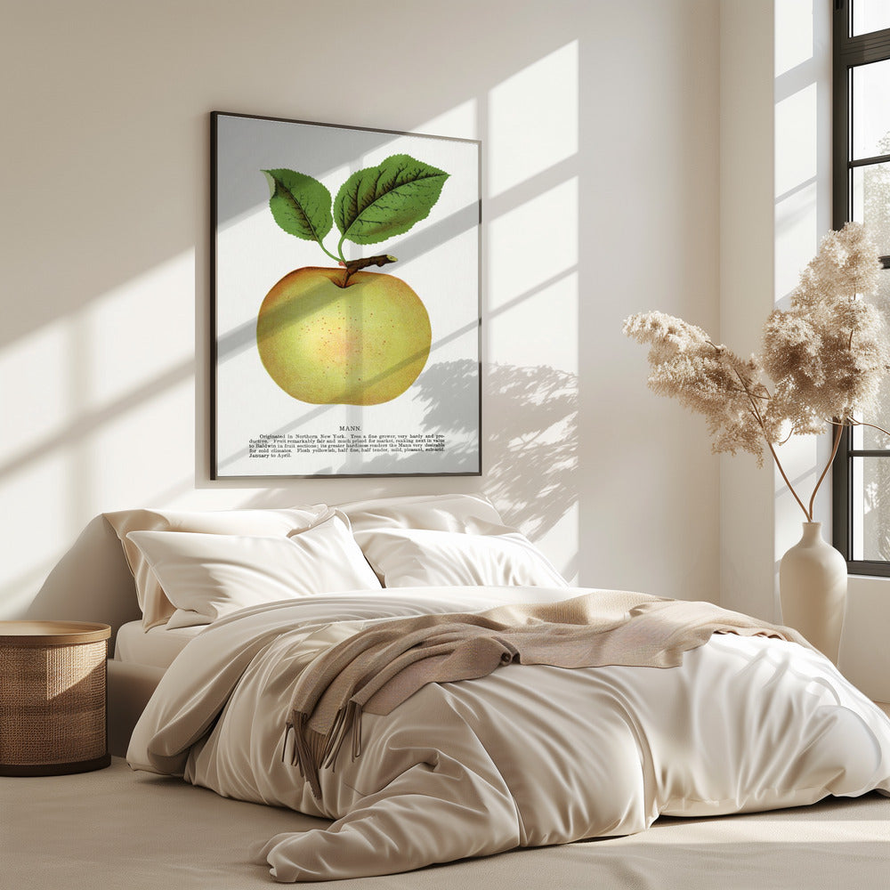 Mann Apple Lithographie | Poster
