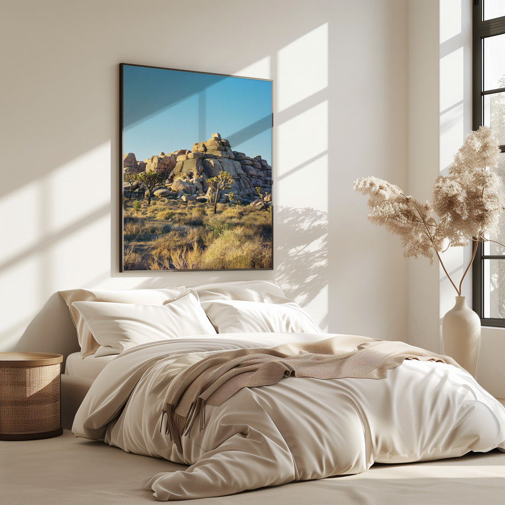 Sonnenuntergang am Joshua Tree | Poster