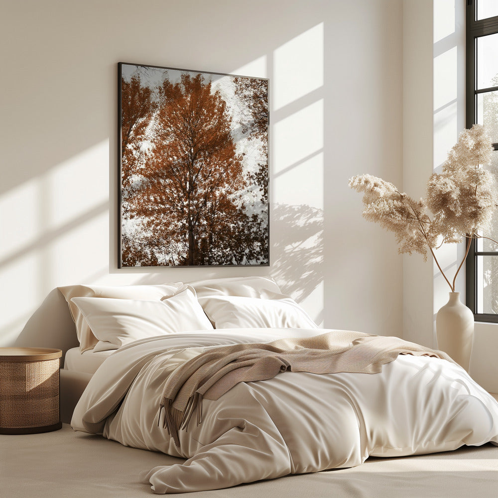 Aspen | Poster