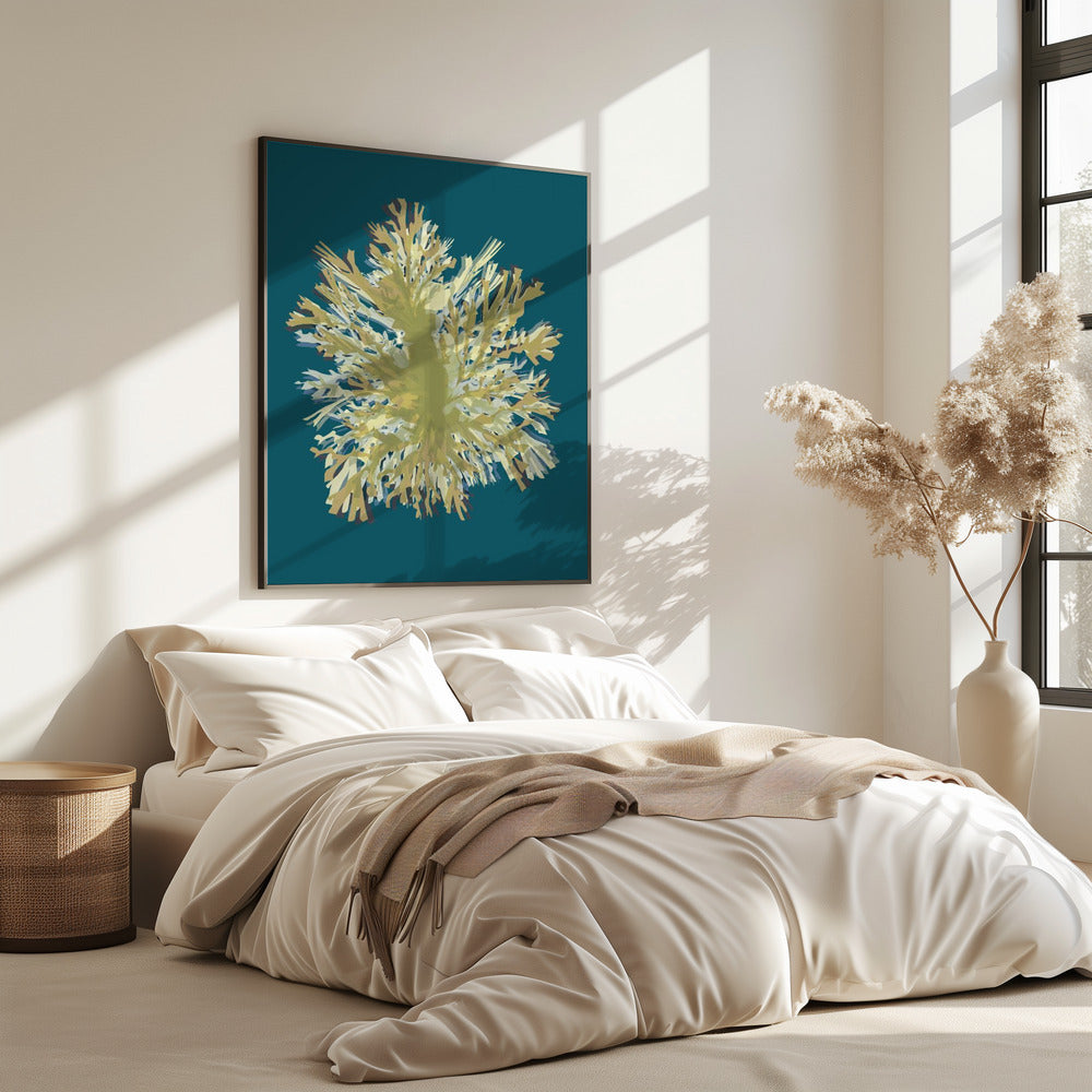 Seaweed Poster 1 | Poster