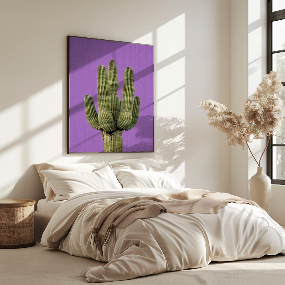Lila Kaktus | Poster