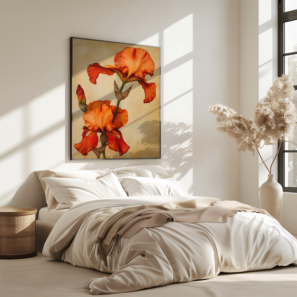 Poster Canvas Sng Iris 36 | Poster