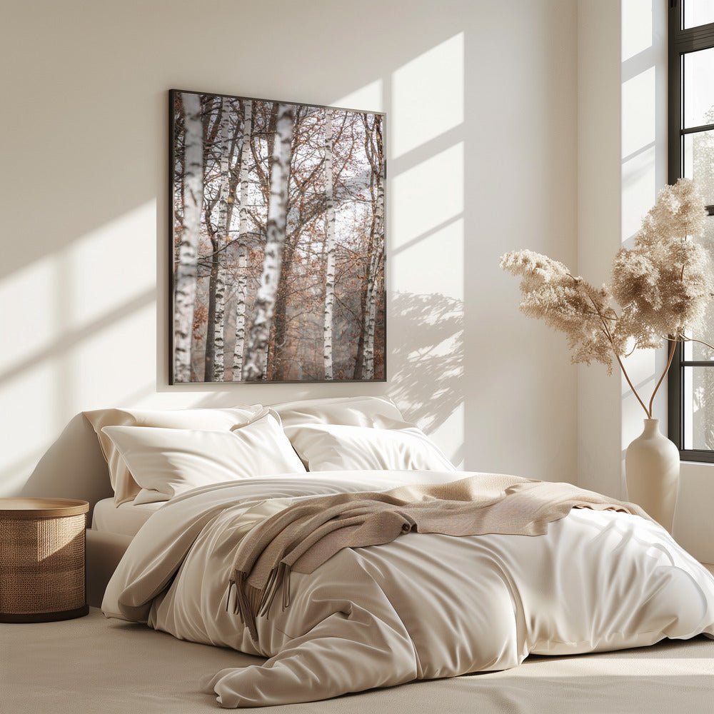 Birken 6 | Poster