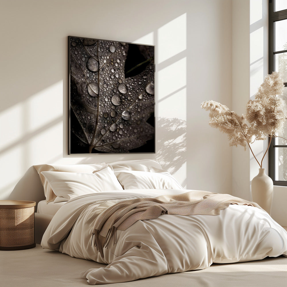 Rainy Fall | Poster