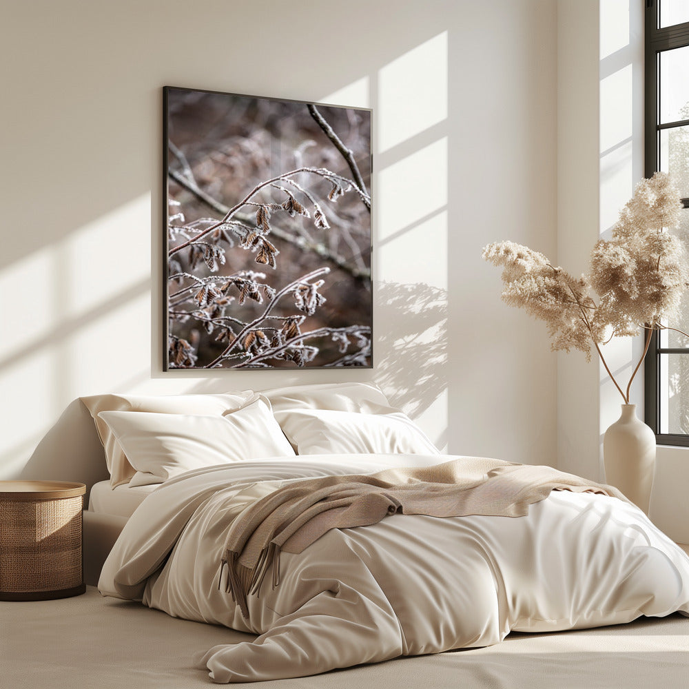 Winterzweige 18 | Poster