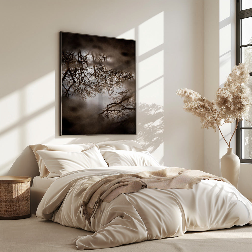 Winter Reflections | Poster