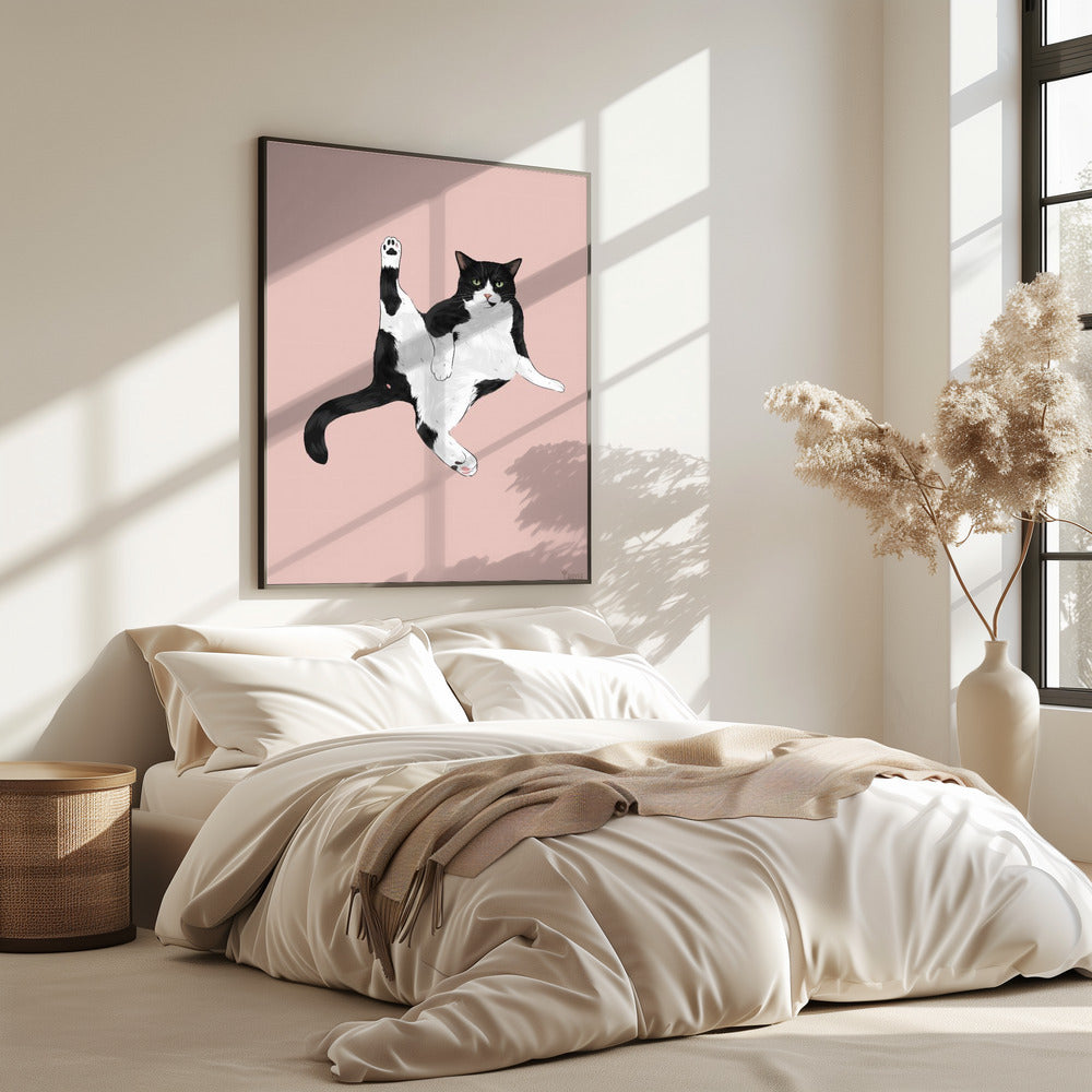 Katze in einer lustigen Pose | Poster