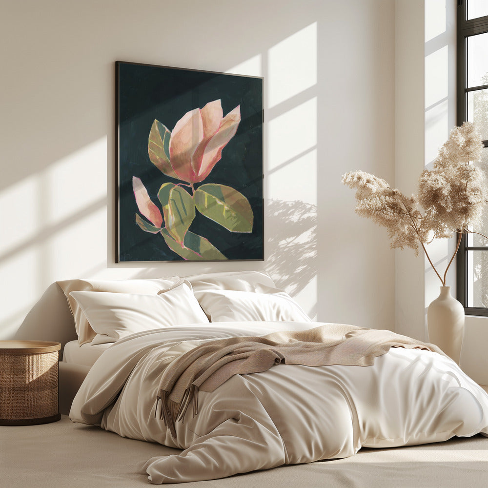 Magnolie im dunklen Hintergrund | Poster
