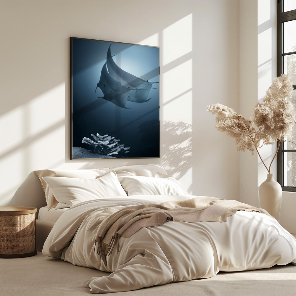 Sonata | Poster