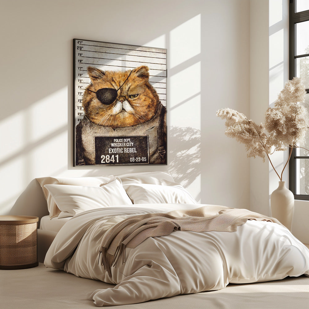 Funny Cat | Poster