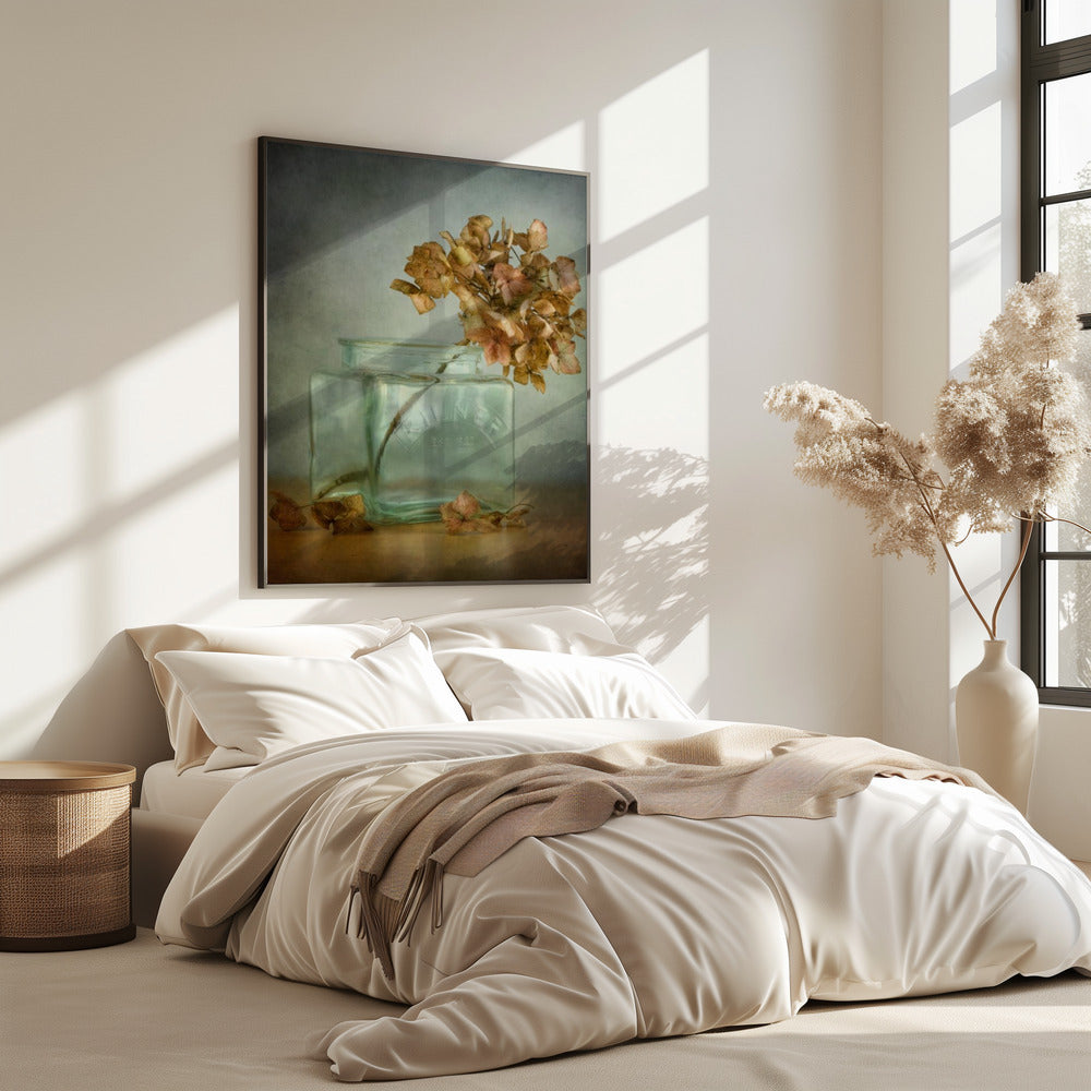 Hortensie | Poster