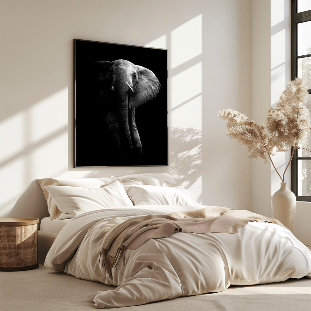 Elephant! | Poster