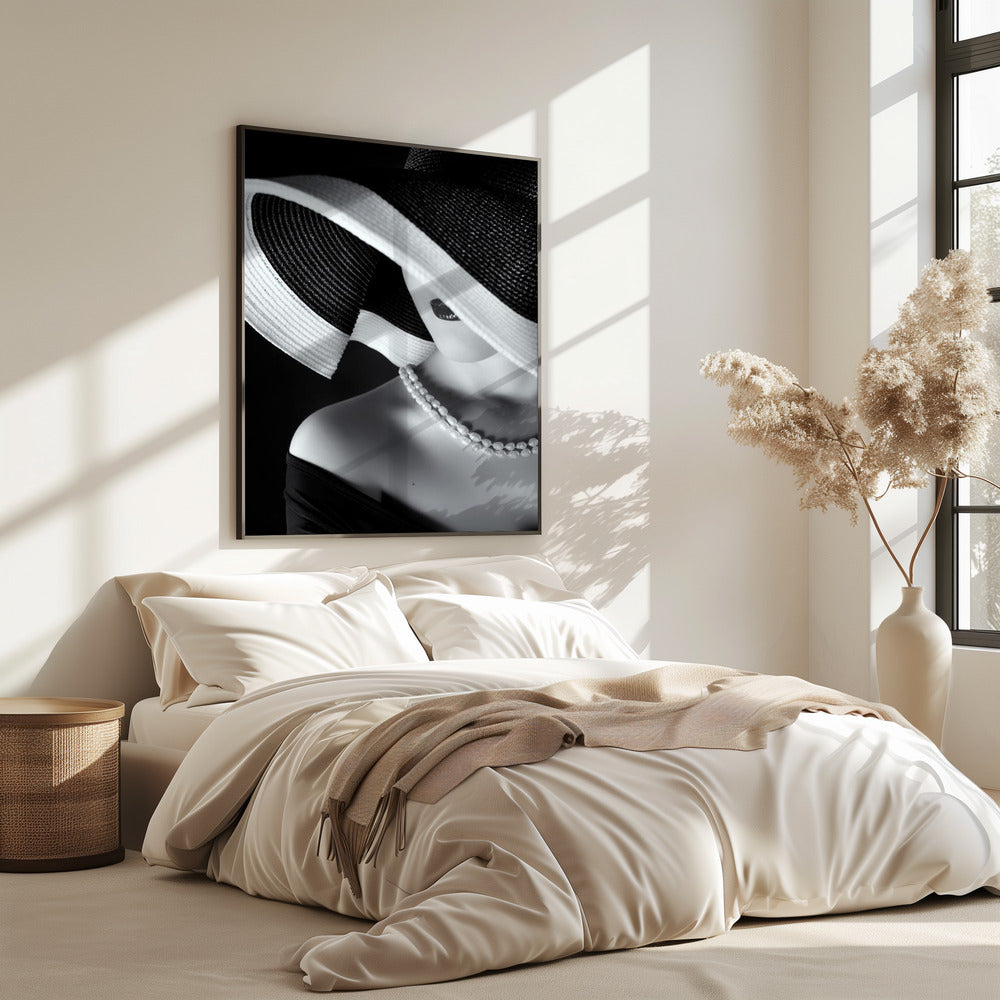 Eleganz im Schatten | Poster