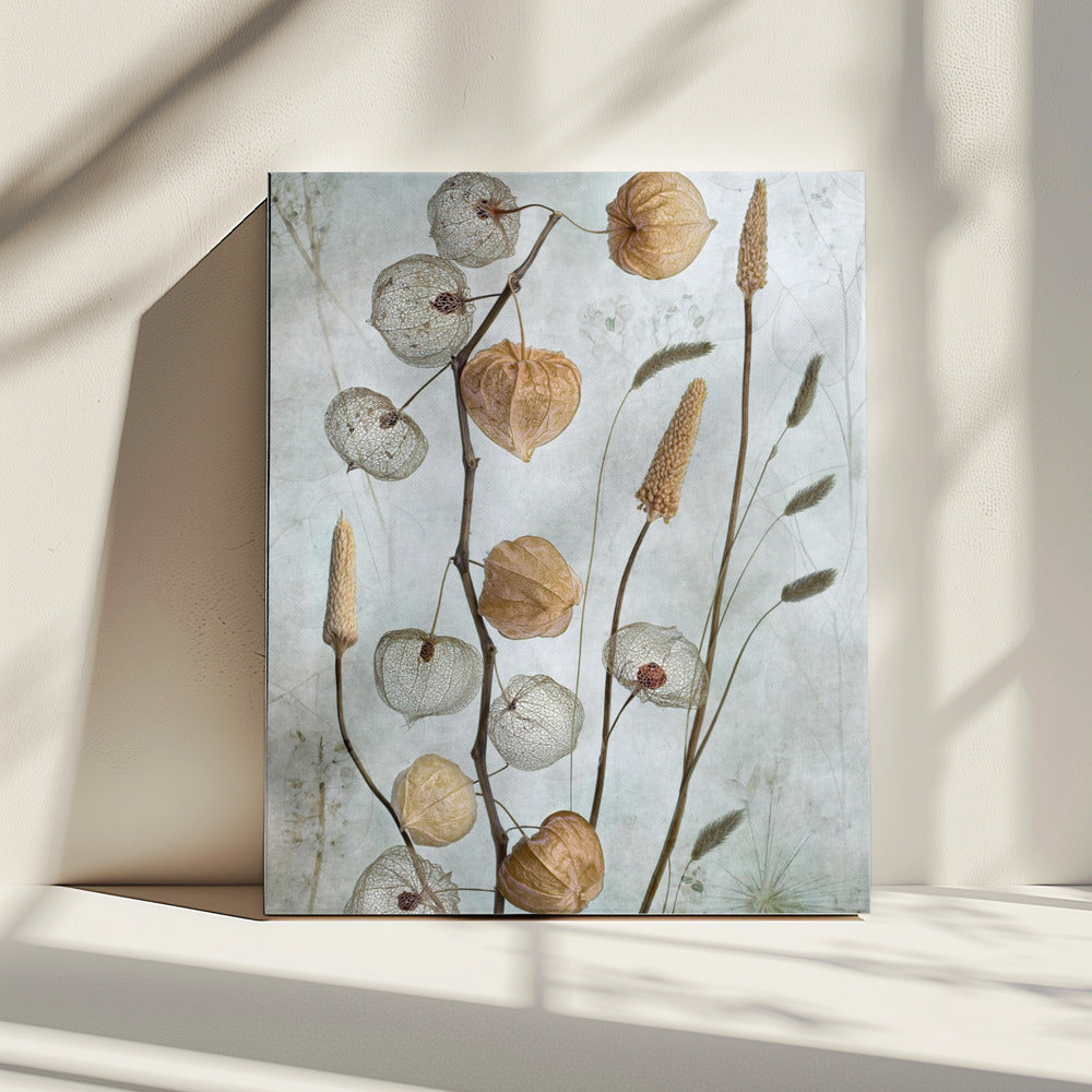 Lanterns* | Canvas