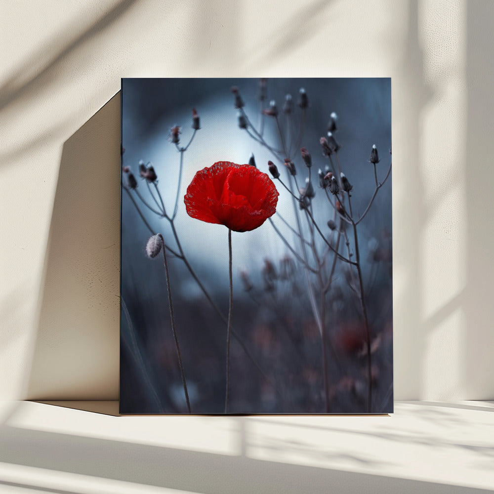 Blume nicht von Kenzo. Von mir | Leinwand
