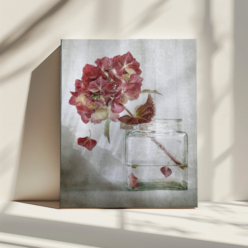 Hortensie | Leinwand