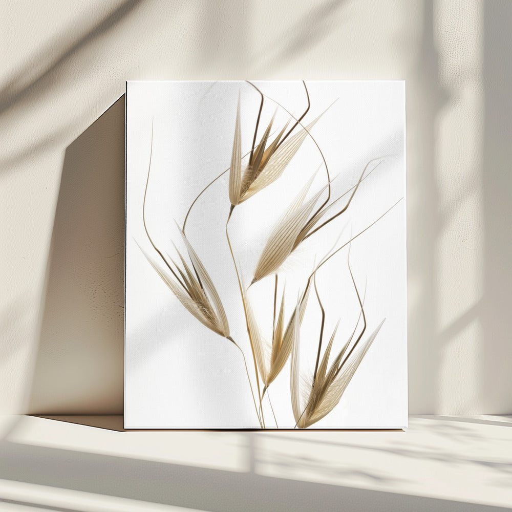 Zartheit der Natur | Leinwand