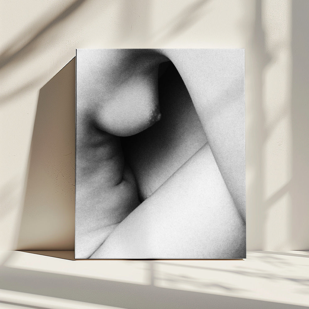 Shapes | Canvas
