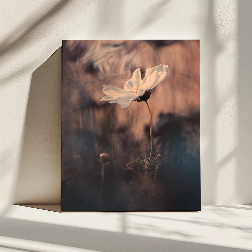 The Bride | Canvas