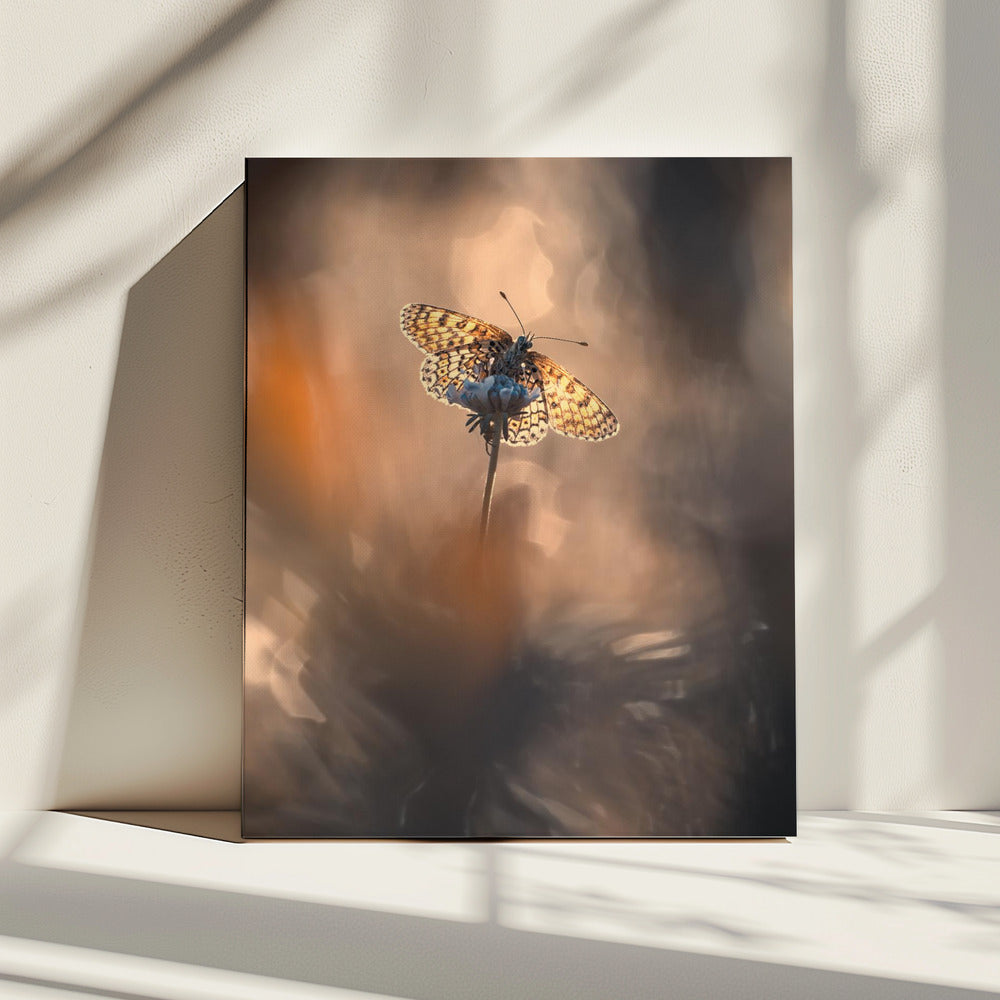 Naturally Framed | Canvas