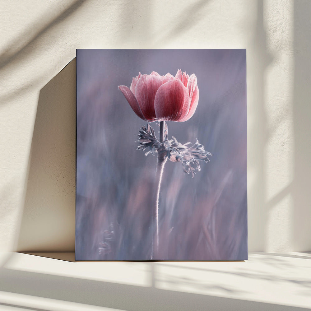 Pink! Na und? | Leinwand