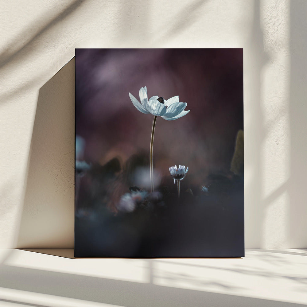 Elles, mes fleurs, émoi | Leinwand