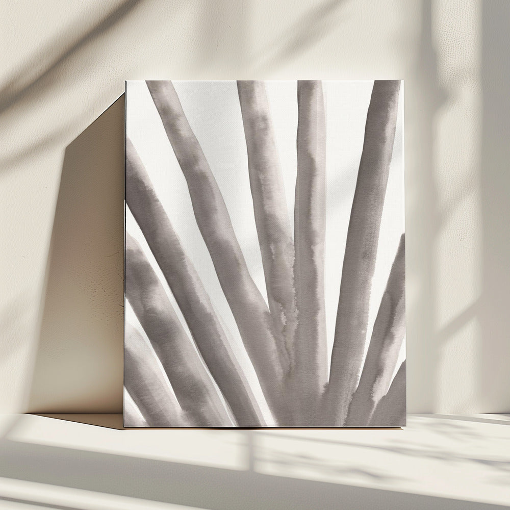 Aloe Vera | Canvas