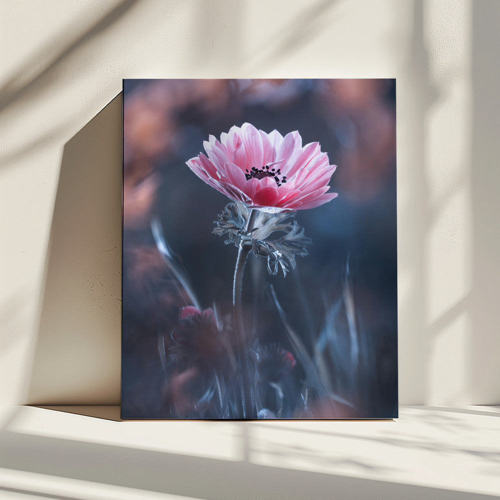 Standing in beauty | Canvas