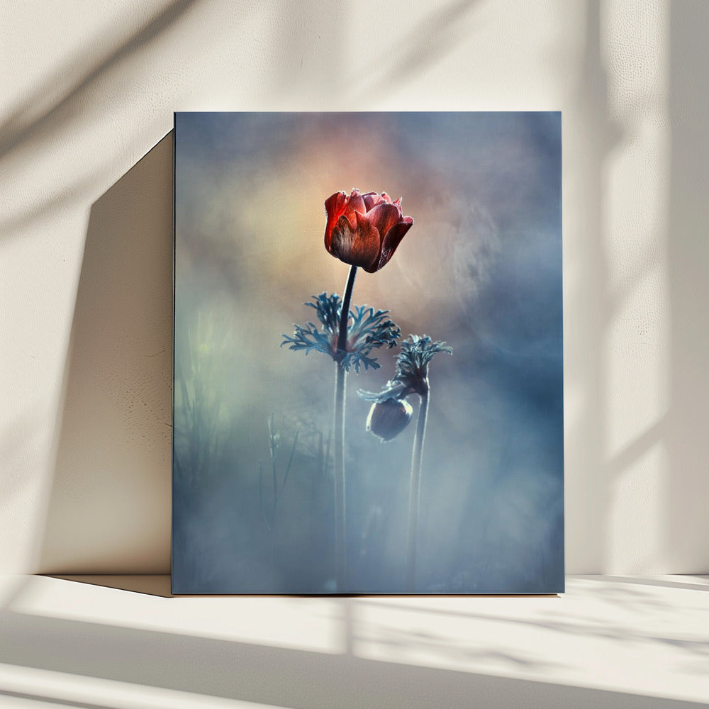 Where poetry and memories remain | Canvas