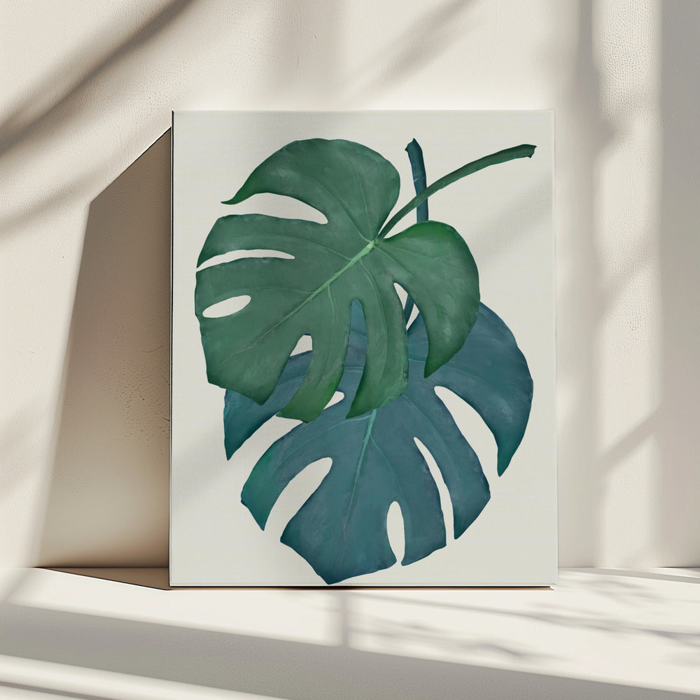 Monstera Aqua 06 | Leinwand