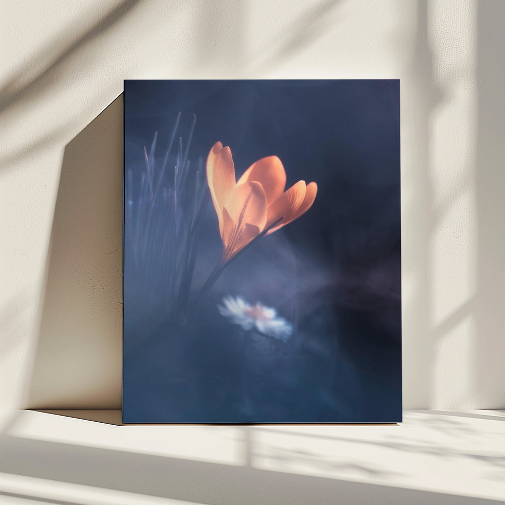Upanishad | Canvas