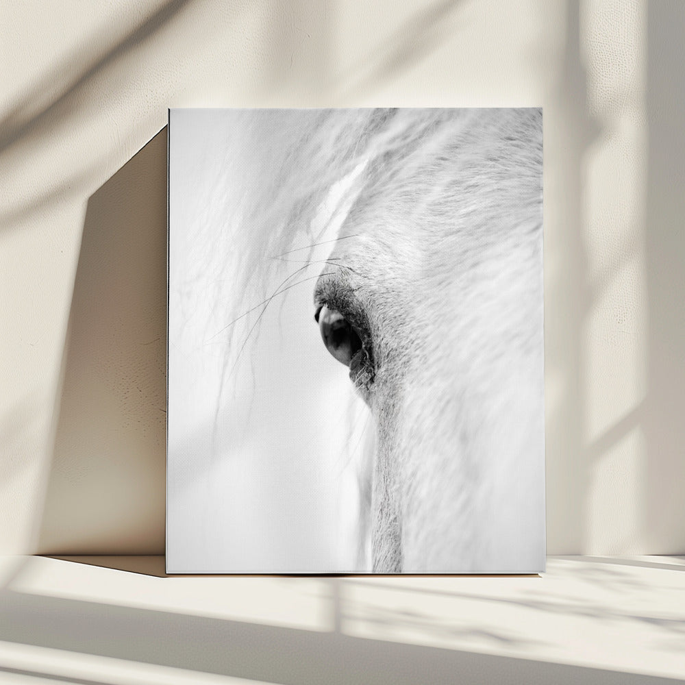 Schlauchöse | Leinwand