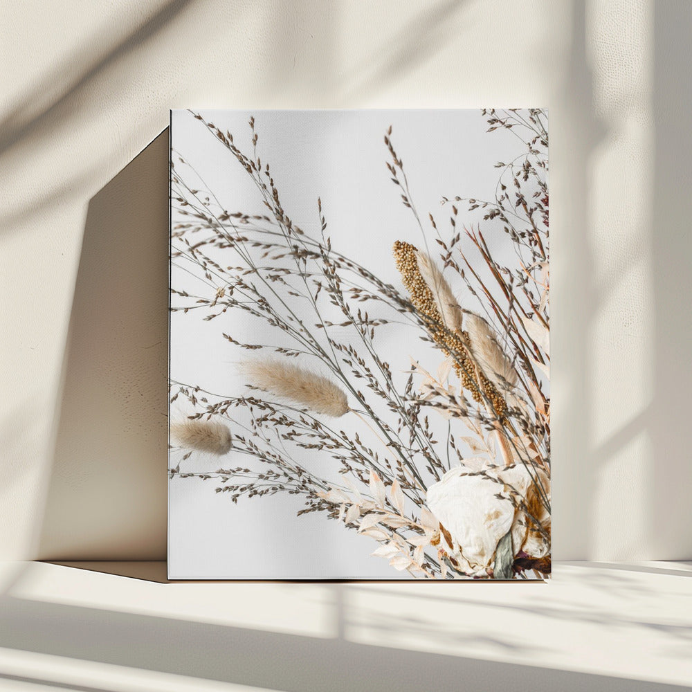 Dried_008 | Canvas