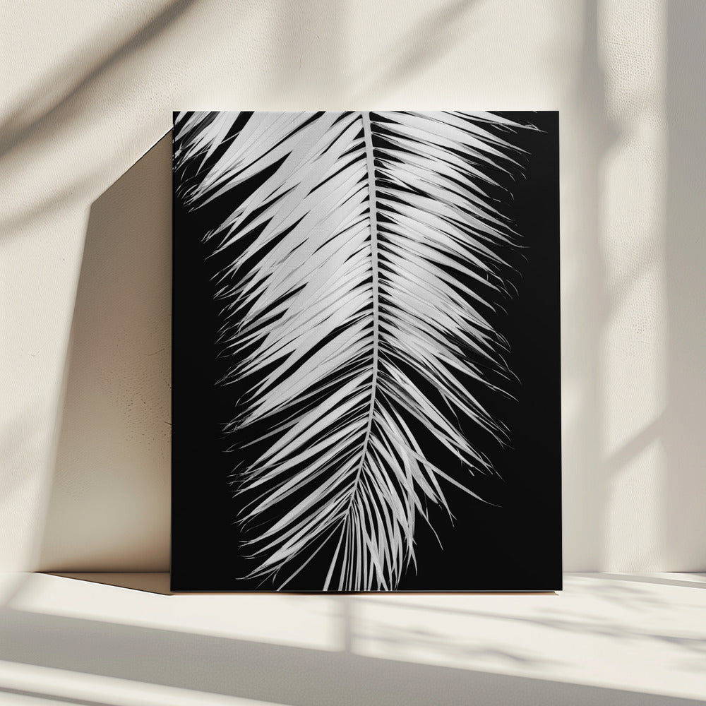 Palmblad_004 | Leinwand