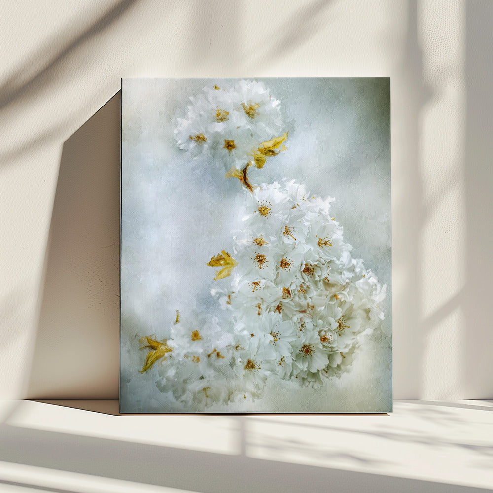 Kirschblüten | Leinwand