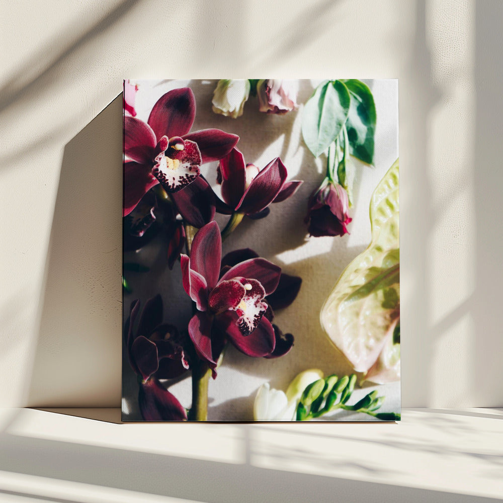 Orchideen-Eleganz | Leinwand