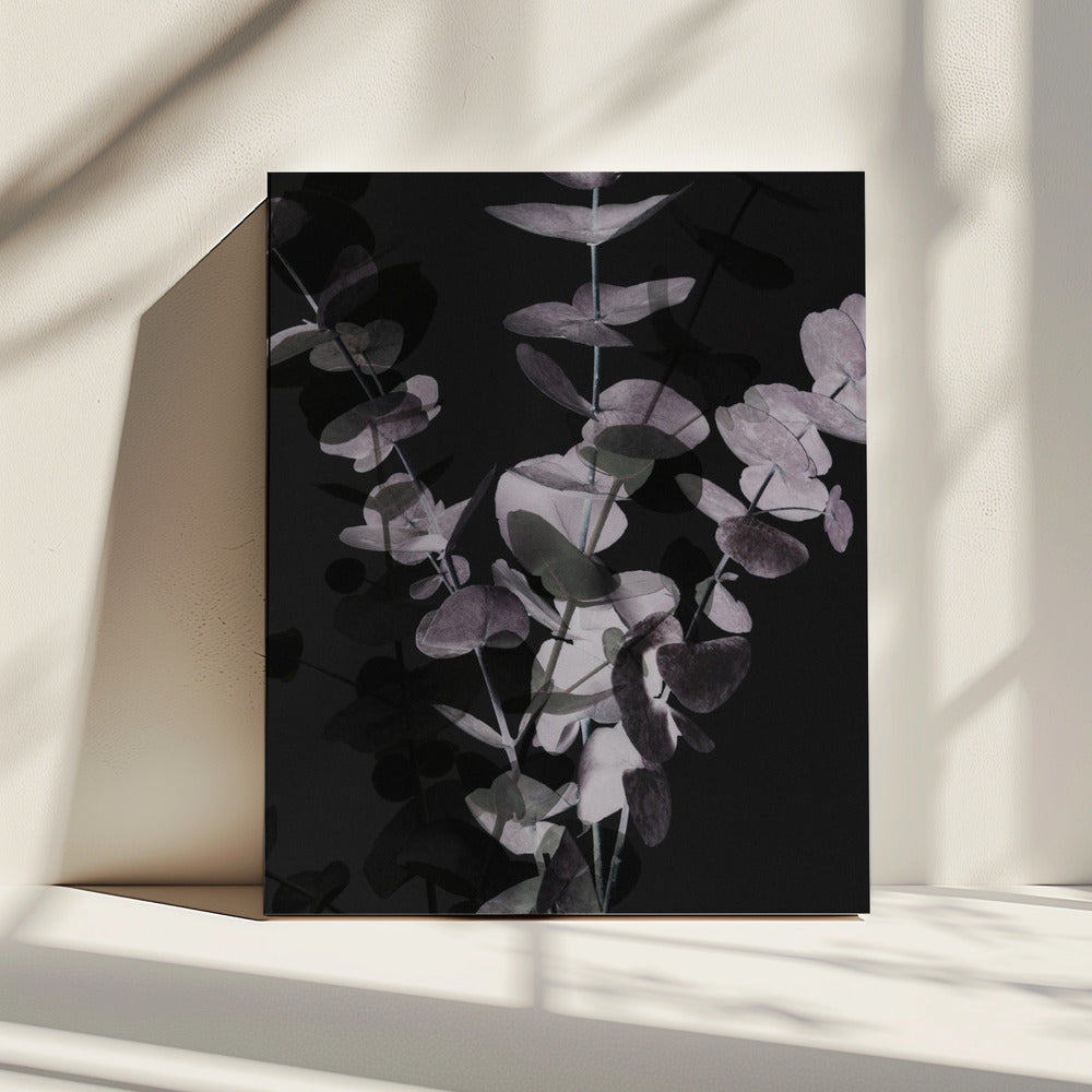 Eukalyptus_Negativ_001 | Leinwand