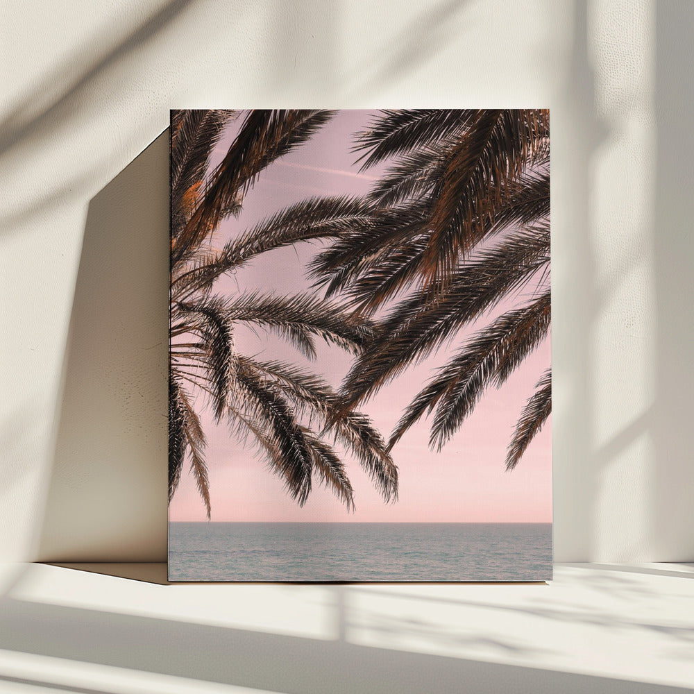 Palme_011 | Leinwand