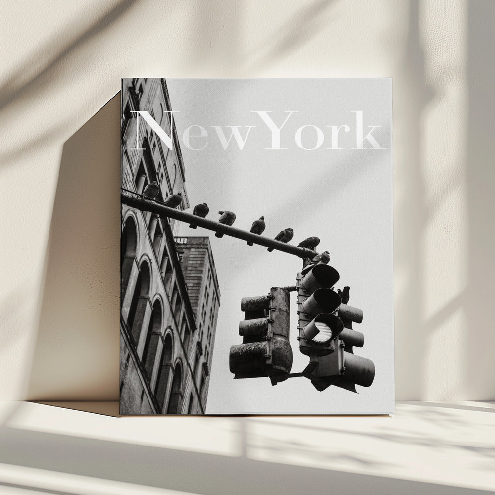 NYC Doves | Canvas