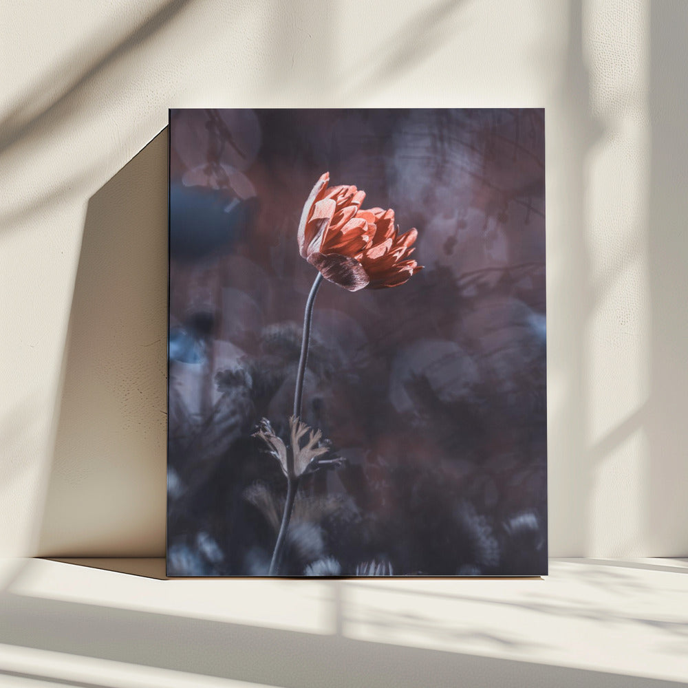 Eleganz | Leinwand
