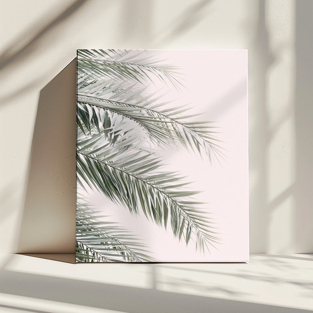 Blush Palm Leaves | Canvas