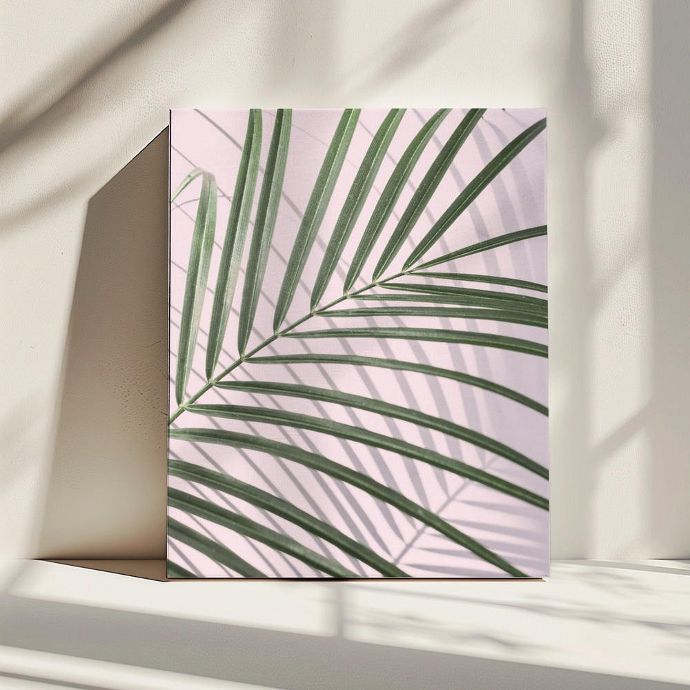 Palmblattschatten | Leinwand