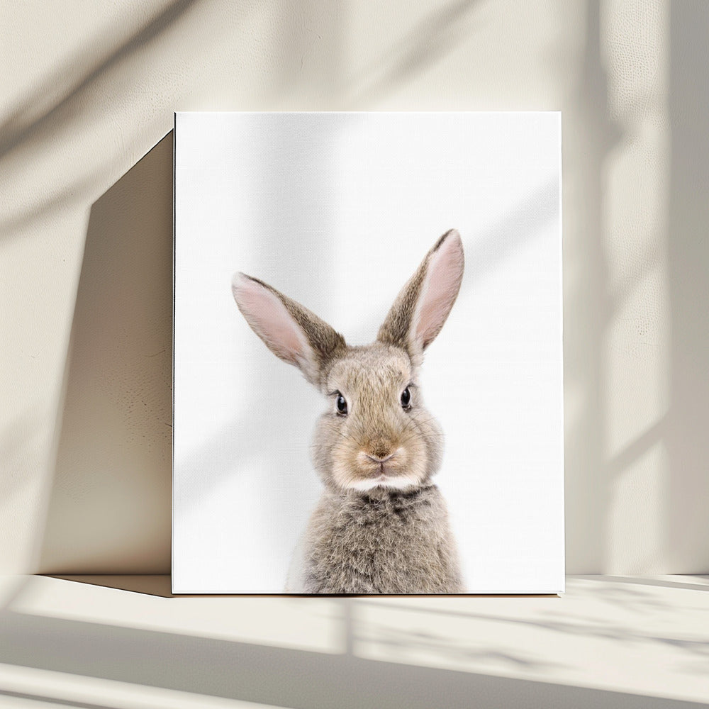 Baby Kaninchen | Leinwand
