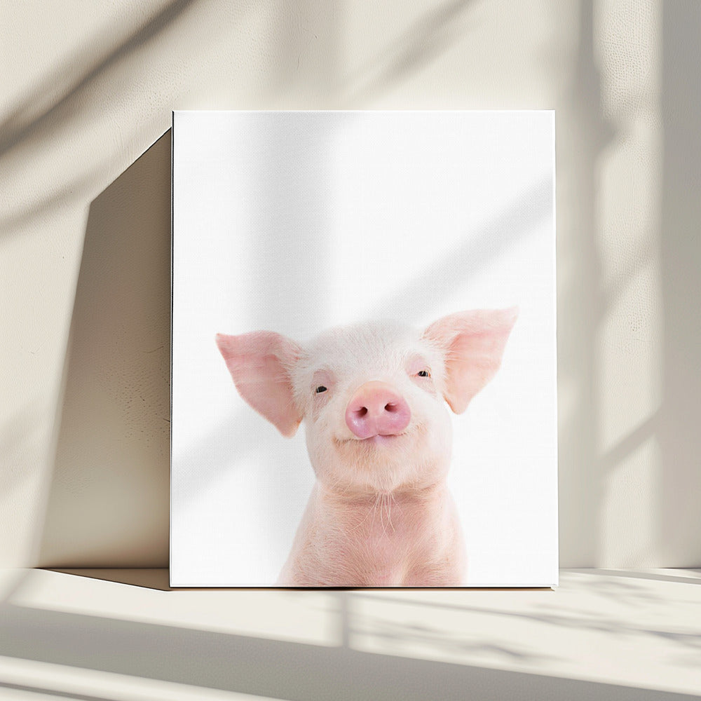 Babyschwein | Leinwand